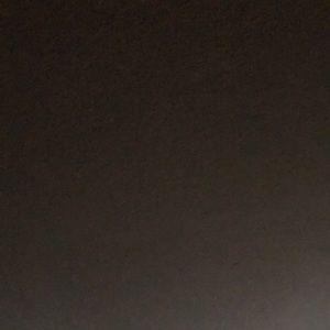 Meet your Posher, Bruce